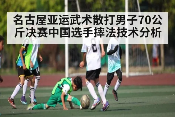 名古屋亚运武术散打男子70公斤决赛中国选手摔法技术分析